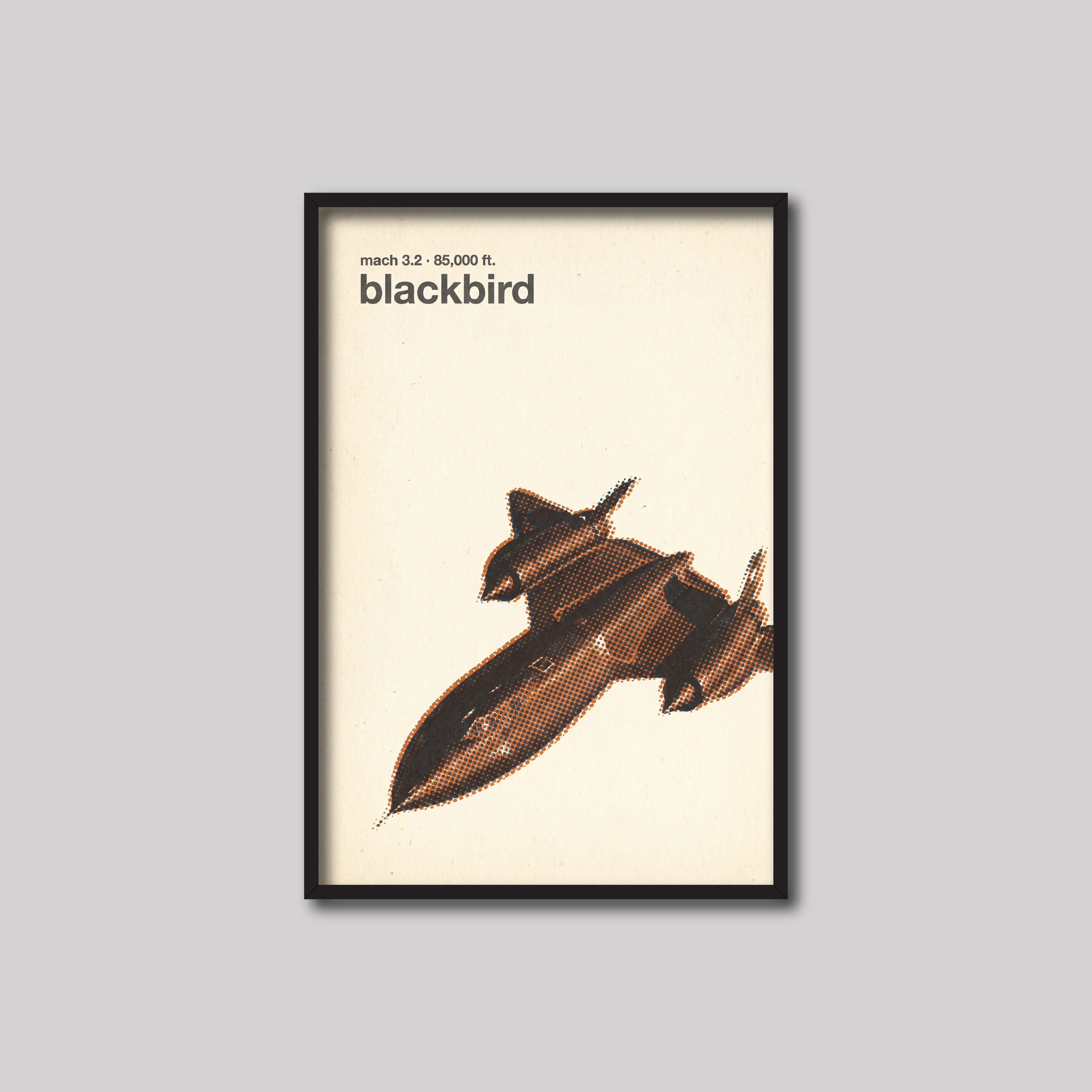 Blackbird (Vintage)