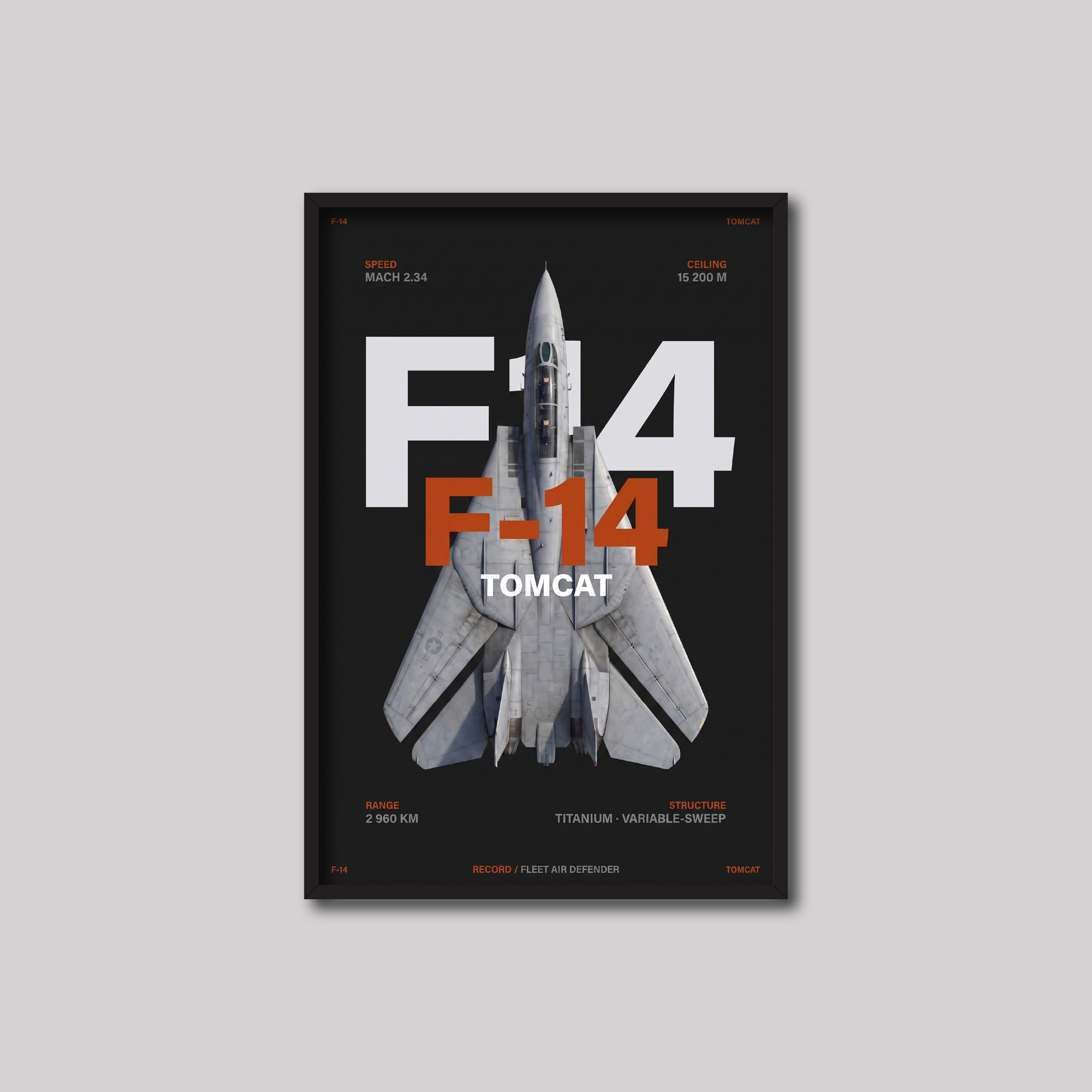 F-14 (Dark)