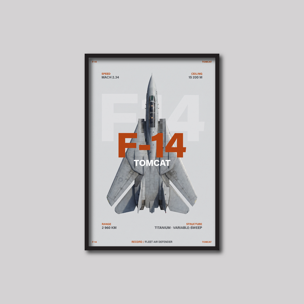 F-14 (Light)
