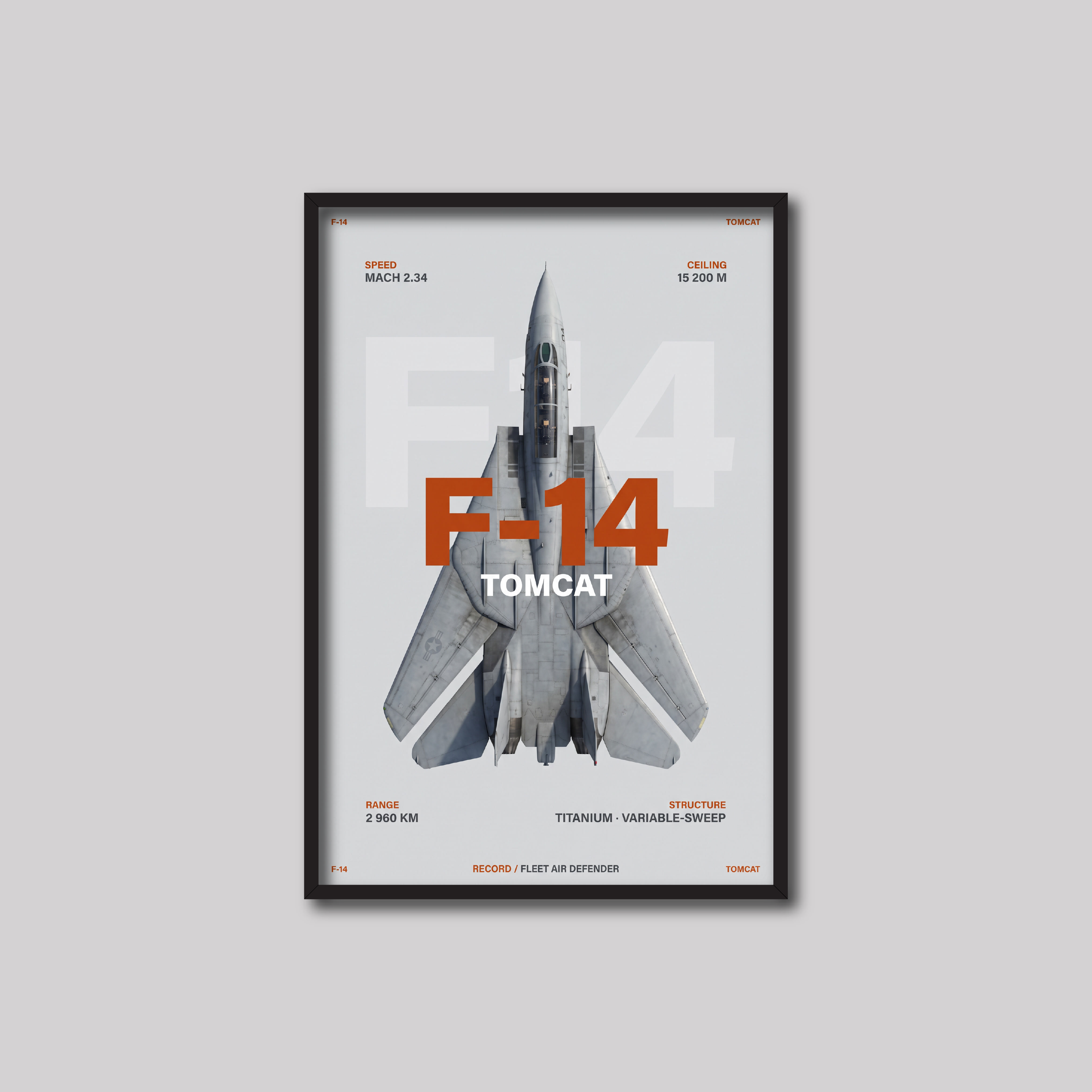 F-14 (Light)